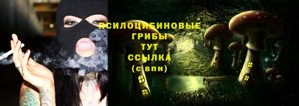 бутират Белокуриха