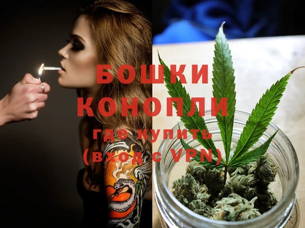 бутират Белокуриха