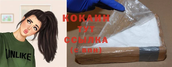 прущий лед Богданович