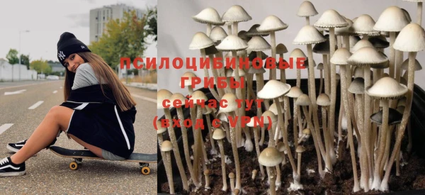 молекула духа Беломорск