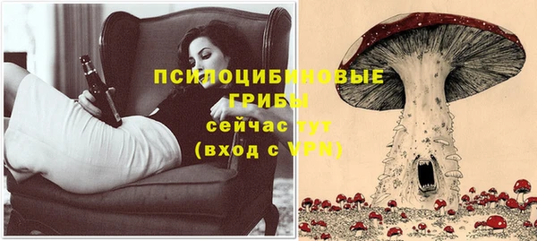 альфа пвп Богородицк