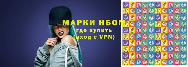прущий лед Богданович