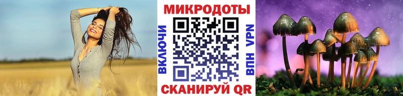 Купить  Переславль-Залесский  Псилоцибиновые грибы прущие грибы 